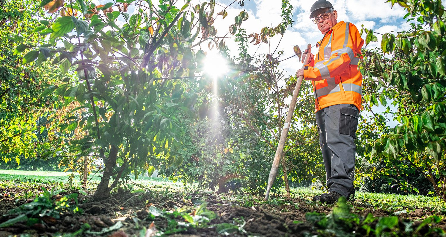 Medewerker groenvoorziening aan het werk.