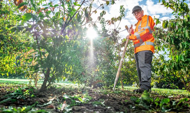 Medewerker groenvoorziening aan het werk.