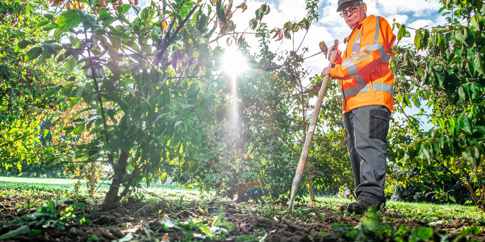 Medewerker groenvoorziening GLoben