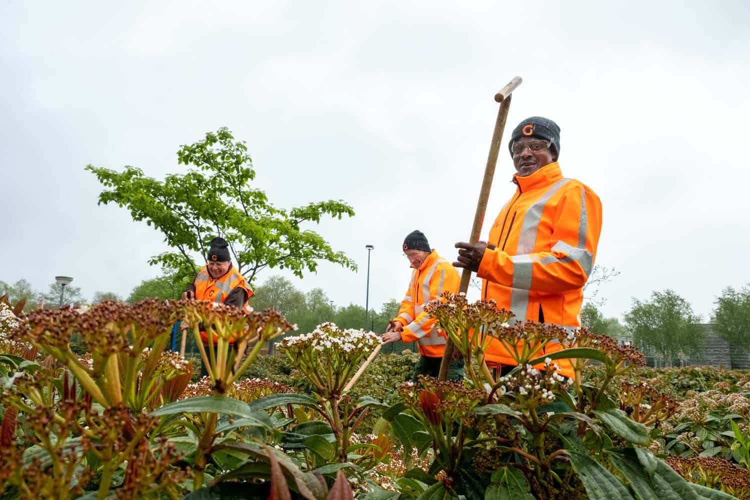 Medewerker groenvoorziening Allgroen