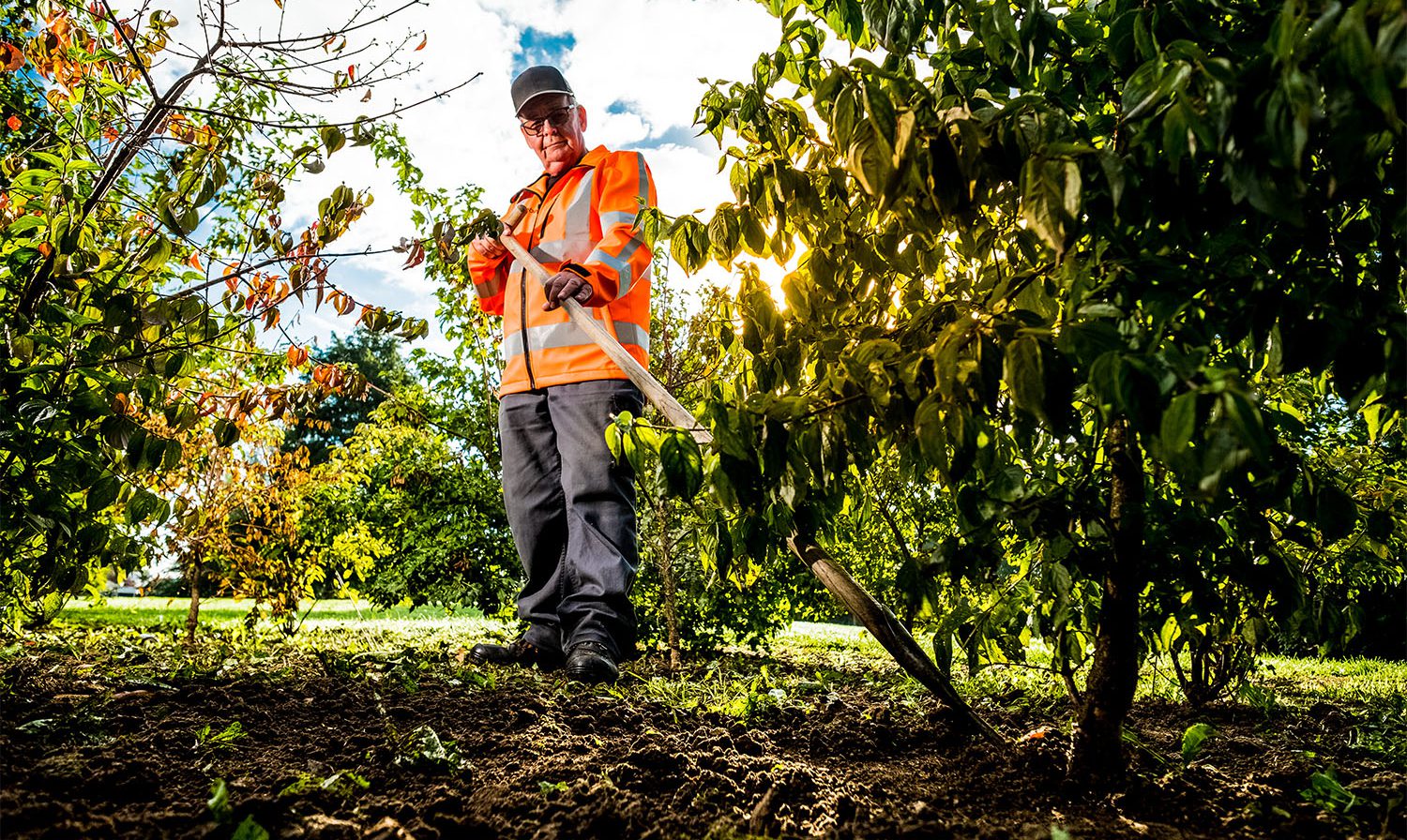 Medewerker aan het schoffelen