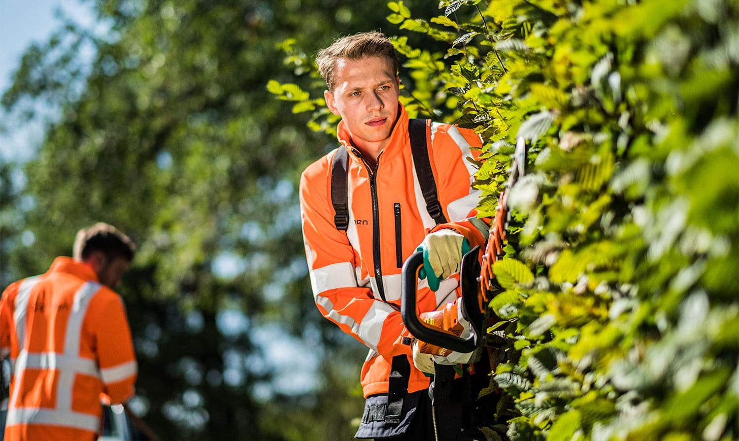 Hovenier aan het werk met een heggenschaar