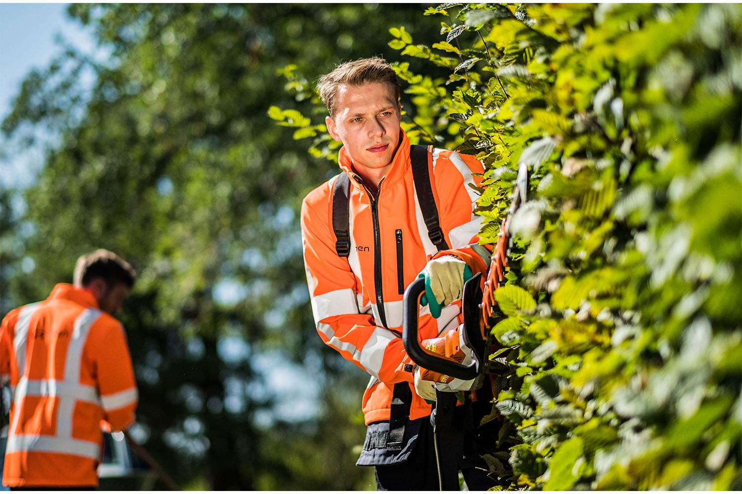 Hovenier aan het werk met een heggenschaar