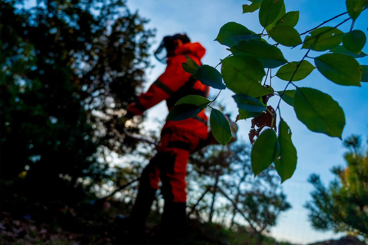 Medewerker groenvoorziening aan het werk in het groen