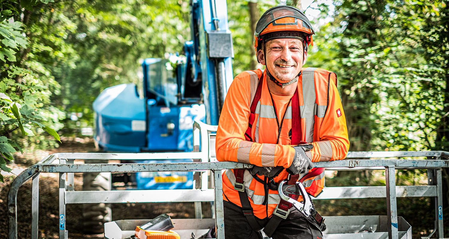 Boomverzorger aan het werk.