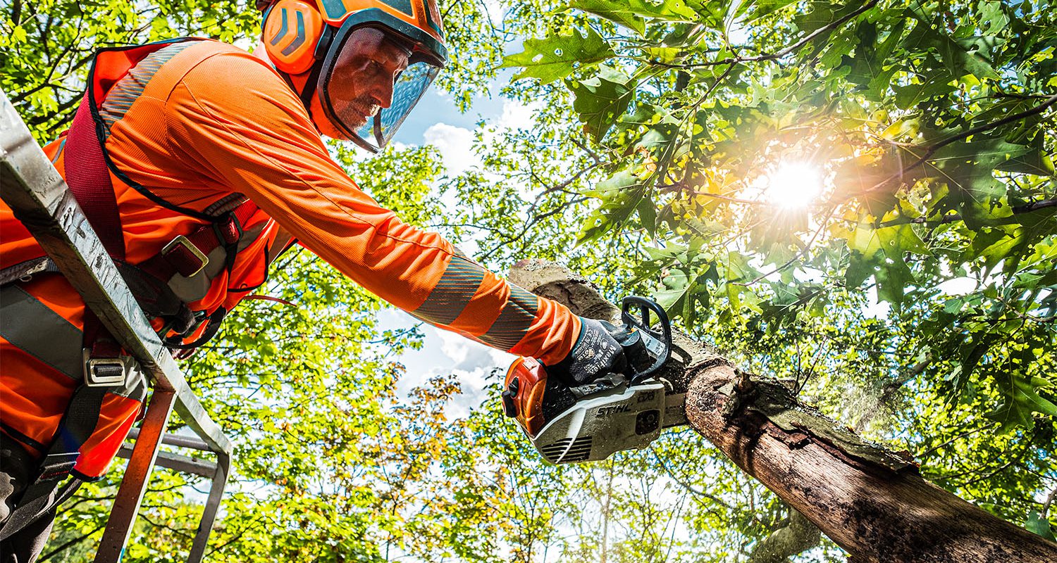 Deelnemer BBL opleiding boomverzorging aan het werk met een motorkettingzaag