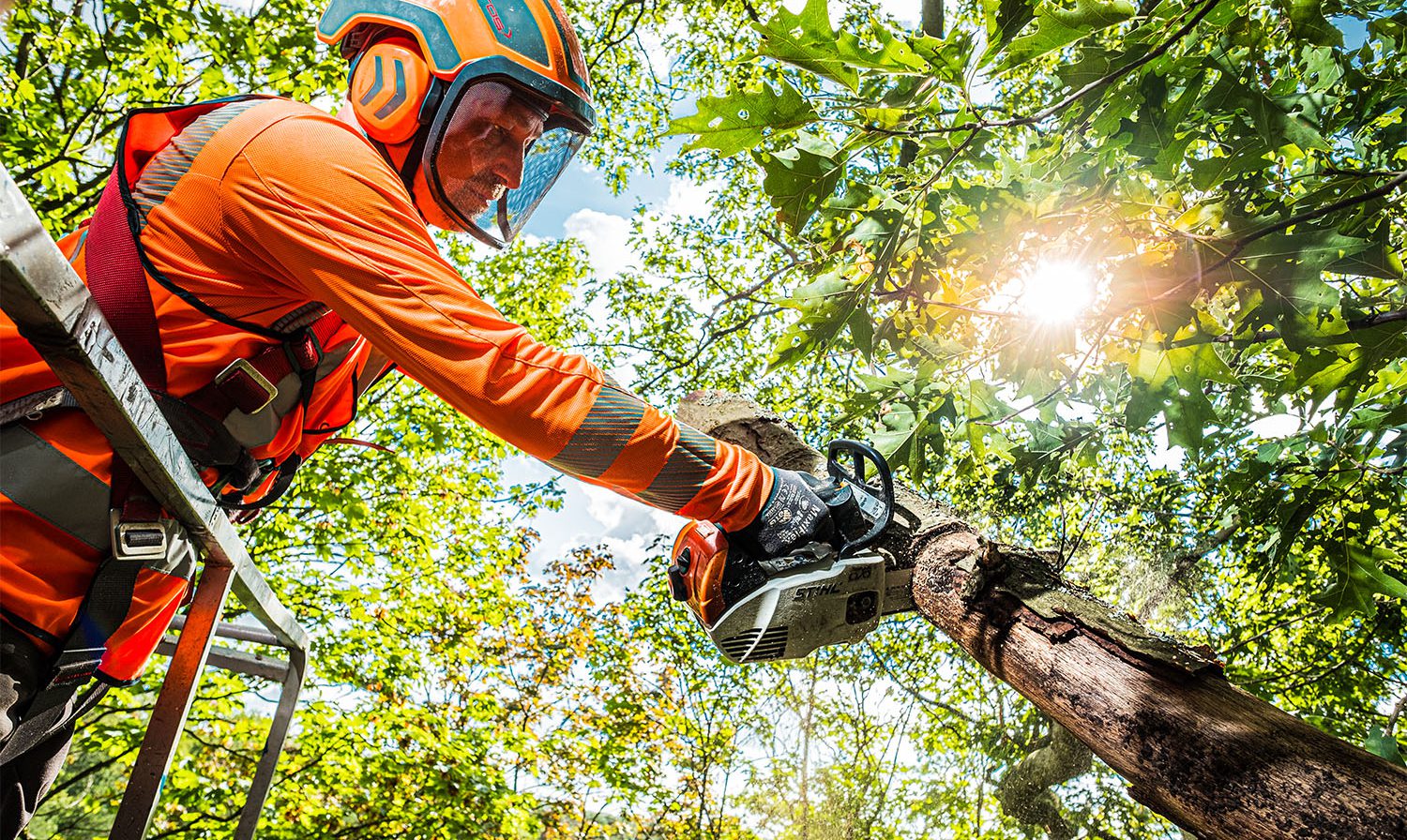 Deelnemer BBL opleiding boomverzorging aan het werk met een motorkettingzaag