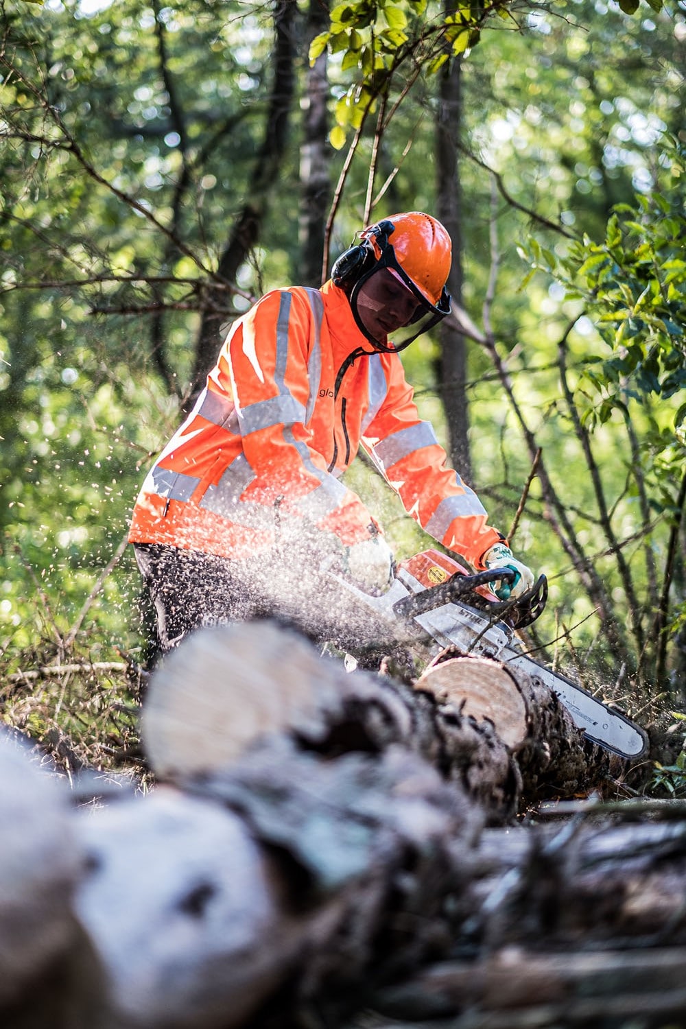 bbl vacatures groningen: leerling met de motorkettingzaag