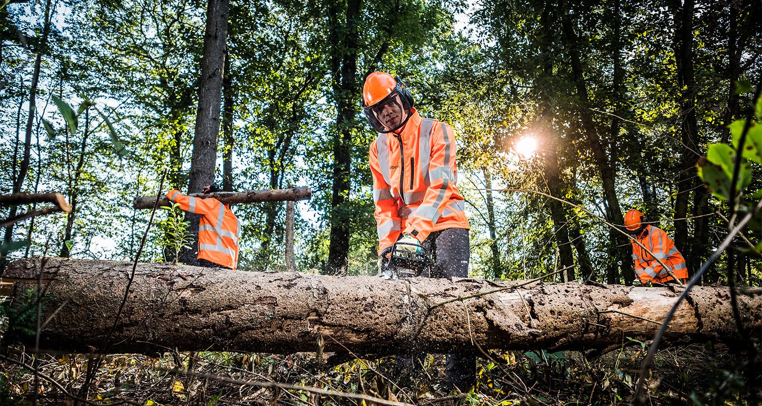 boomverzorgers bezig met gekapte bomen