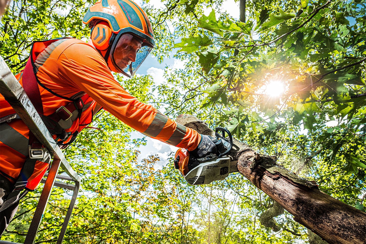 BBL boomverzorger aan het werk met motorkettingzaag: banen met opleiding