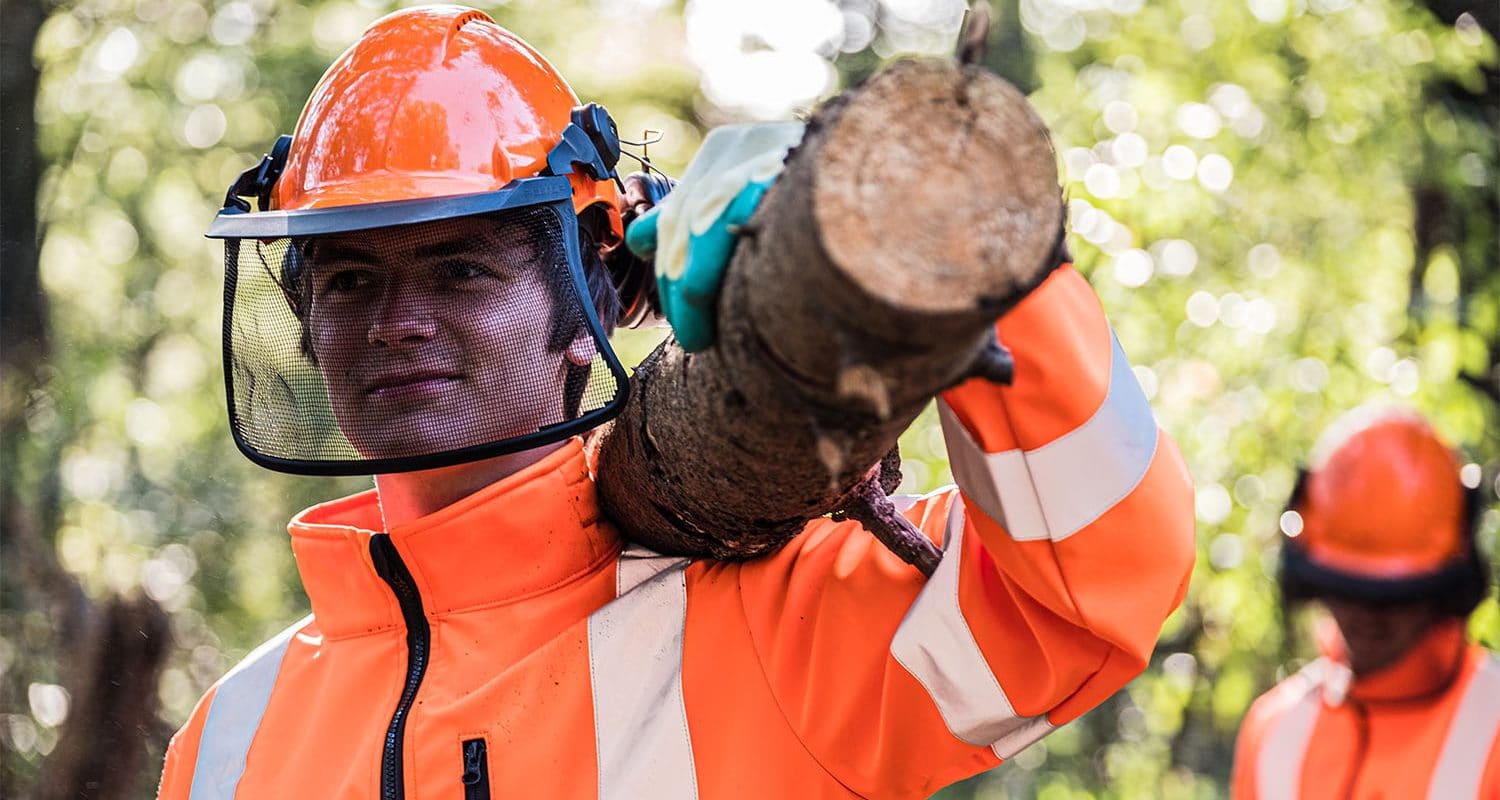 boomverzorger aan het werk bij Globen na inschrijving jobalert