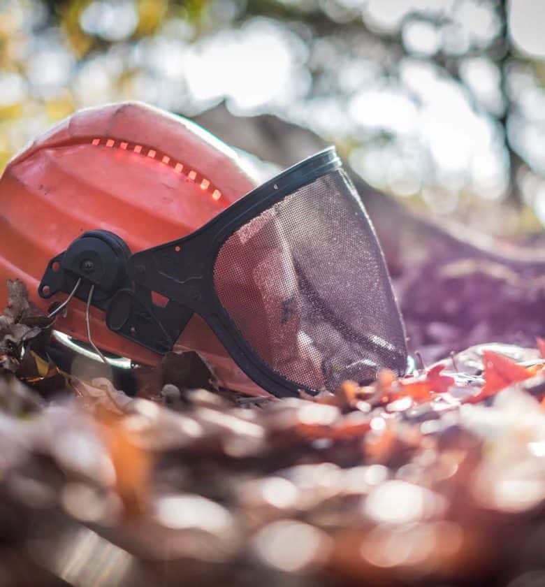 BBL opleidingen in het groen