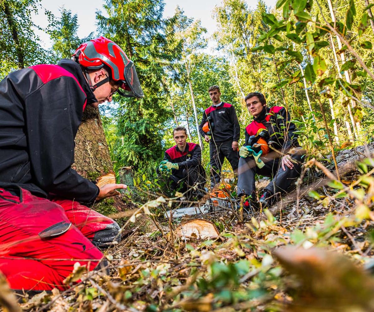 Cursussen en trainingen groen en infra uitleg