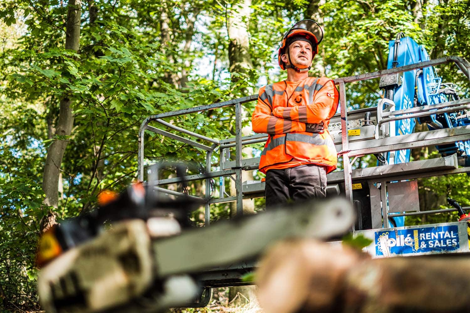 Trainingen en opleidingen in groen en infra boomverzorger