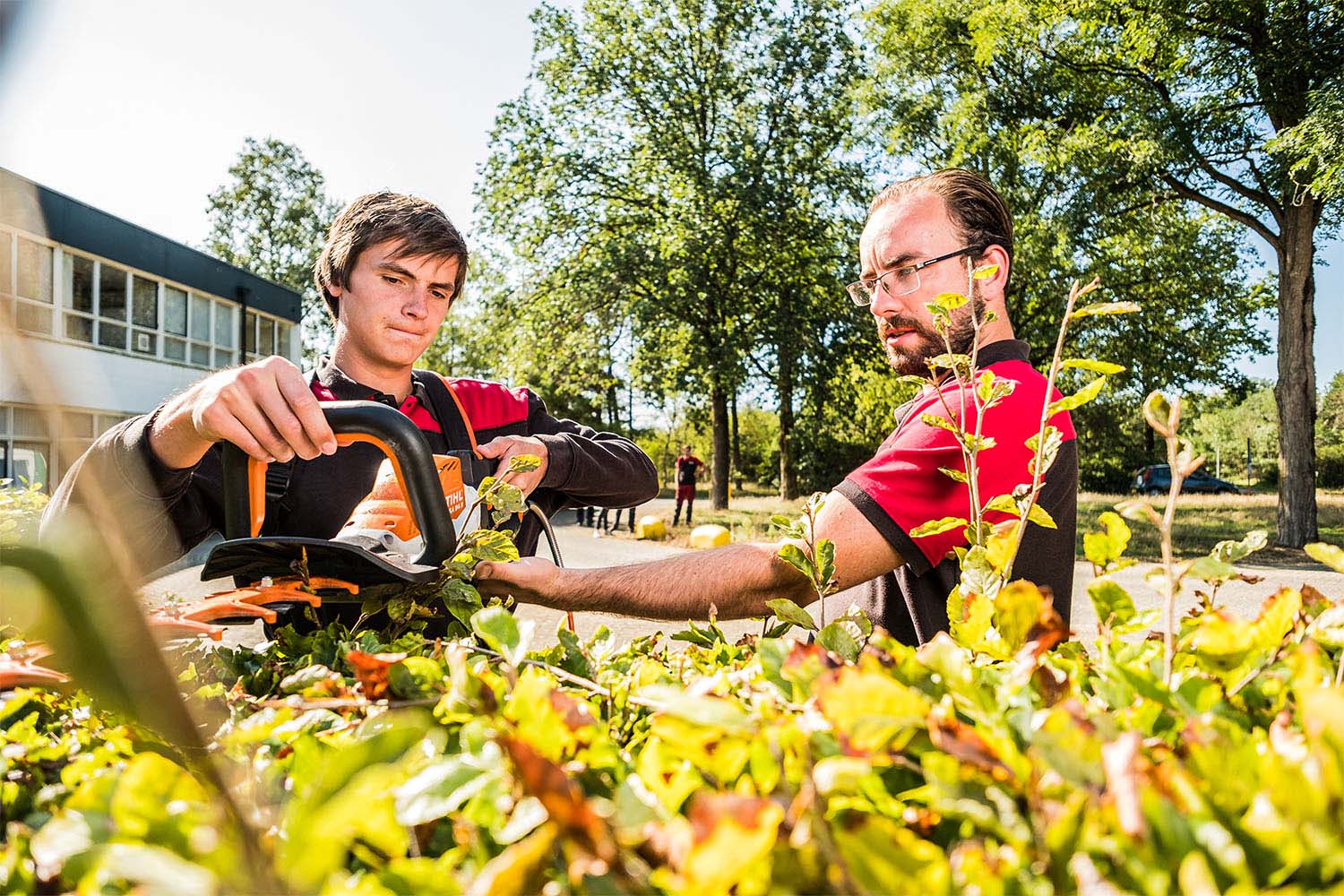 opleidingstraject groen praktijkdag uitleg