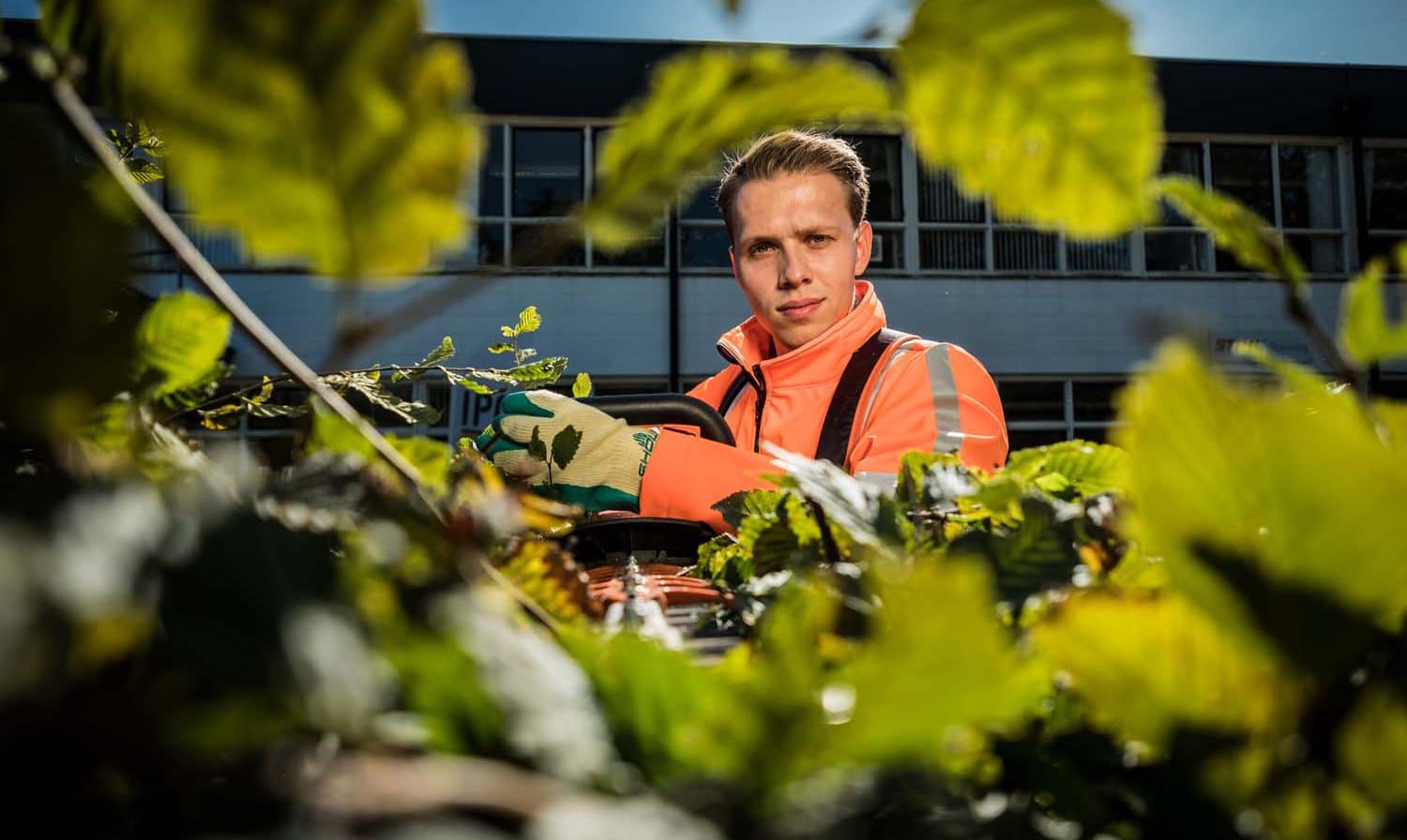 trainingen en opleidingen groen en infra Hovenier