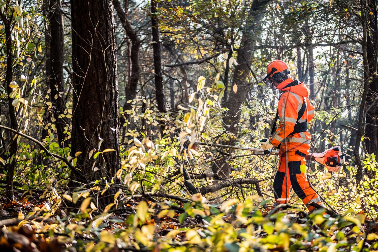 werken en leren in Groningen