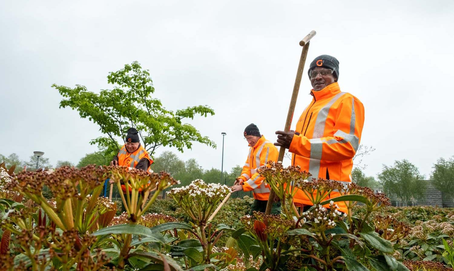 werken in deventer groenvoorziening