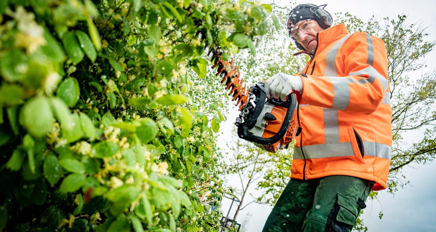 werken in deventer hovenier