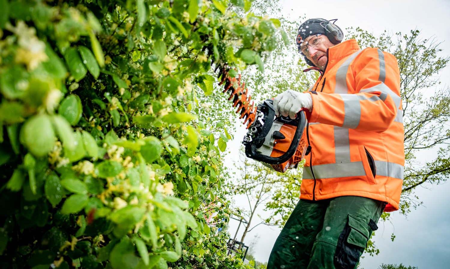 werken in deventer hovenier