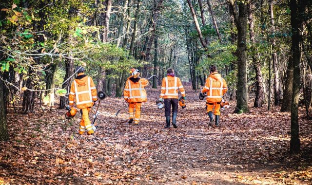 werken in de buurt