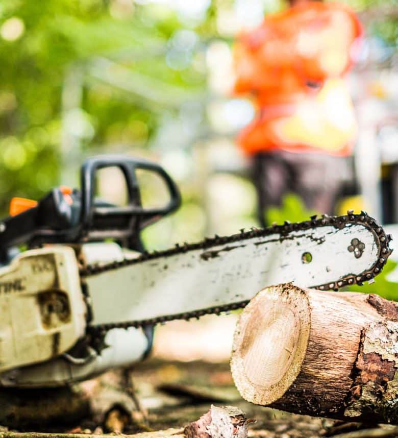 motorkettingzaag voor BBL